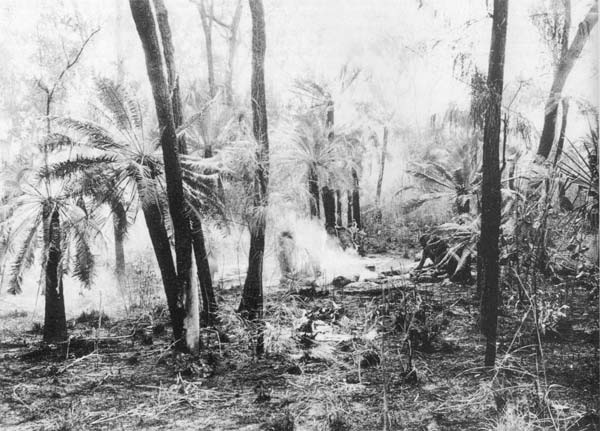 An early morning camp in NE Arnhemland